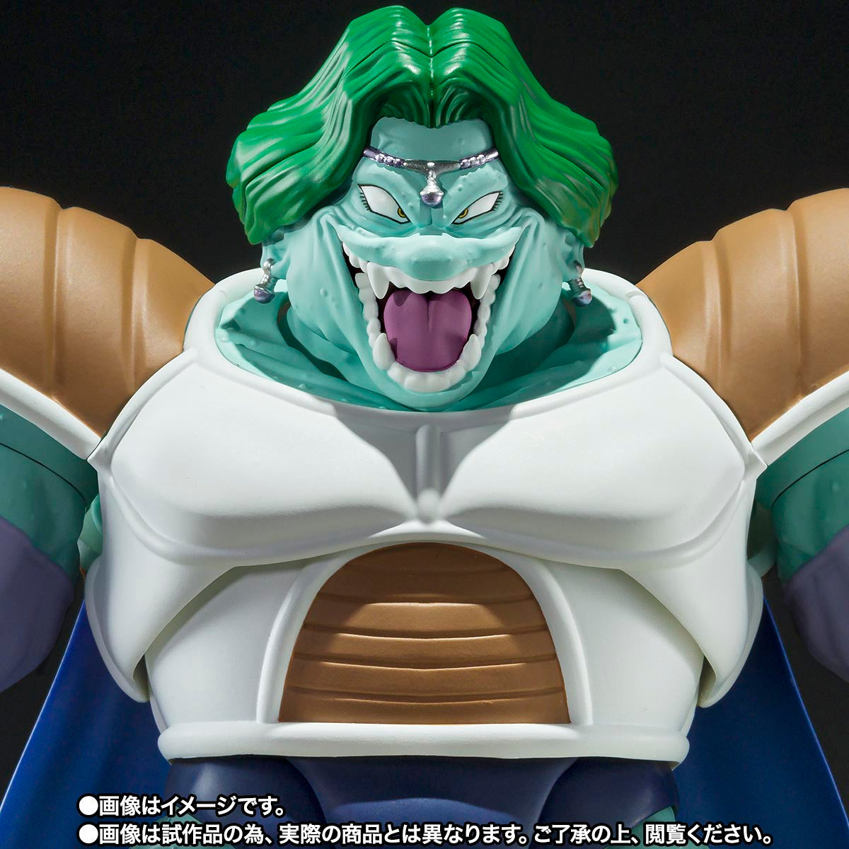 S.H.Figuarts ZARBON TRUE POWER