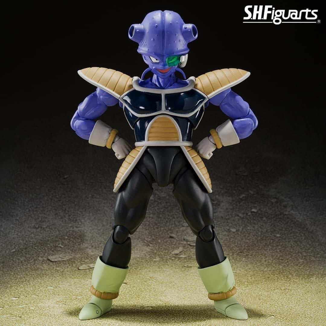 S.H.FIGUARTS KIWI