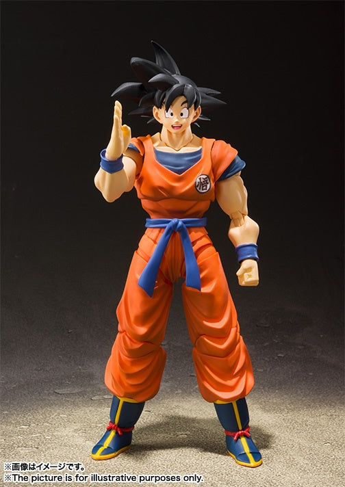 S.H.Figuarts Son Goku -Saiyan Raised on Earth-i