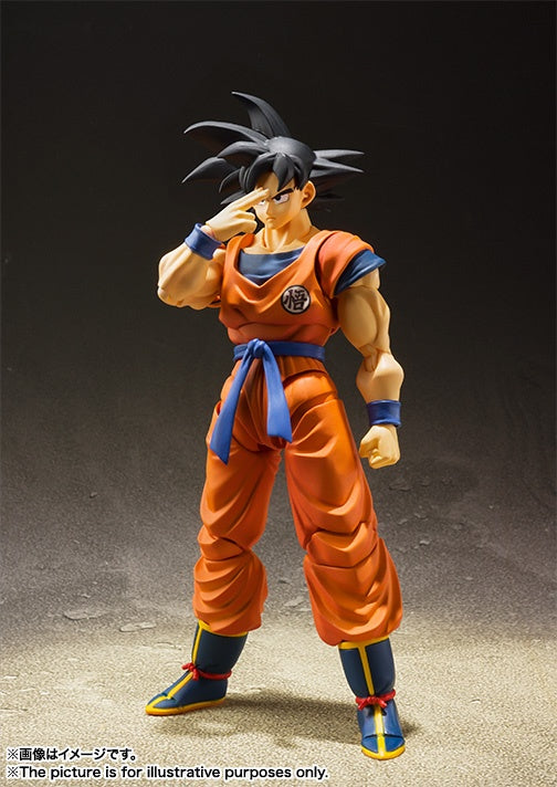 S.H.Figuarts Son Goku -Saiyan Raised on Earth-i