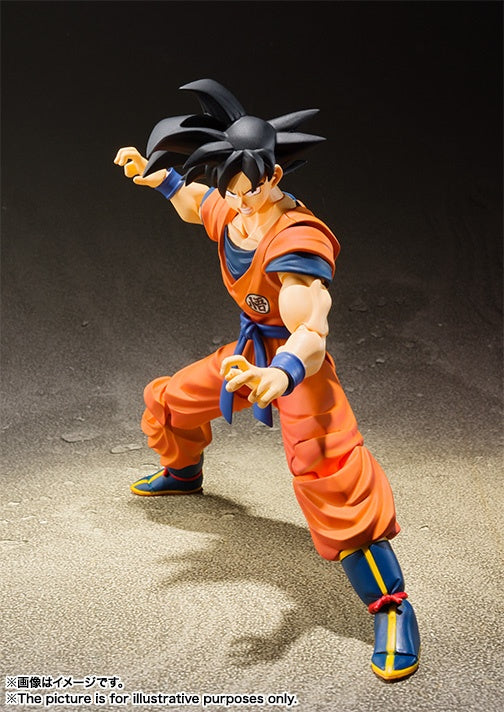 S.H.Figuarts Son Goku -Saiyan Raised on Earth-i